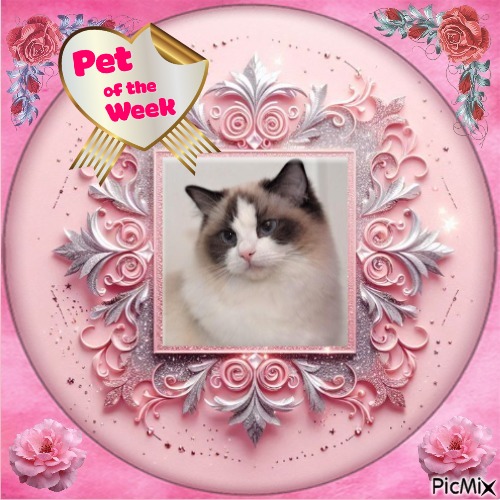 Heavenly-dewi of the Ada family