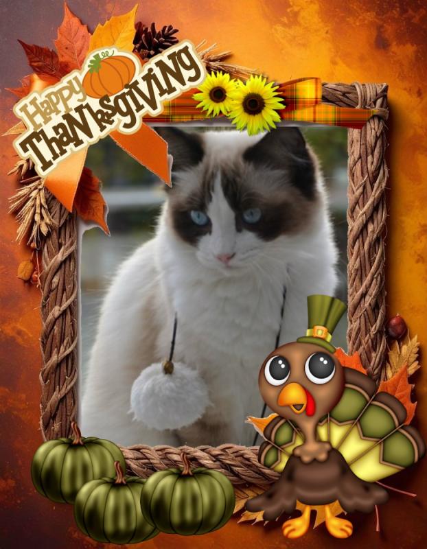 Heavenly-dewi of the Ada family