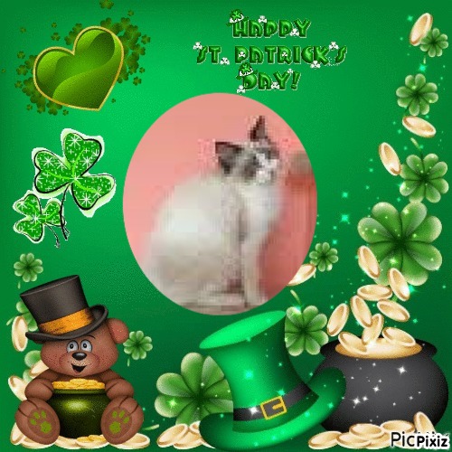 Ada uploaded   32  day/s  ago