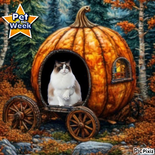 Heavenly-dewi of the Ada family