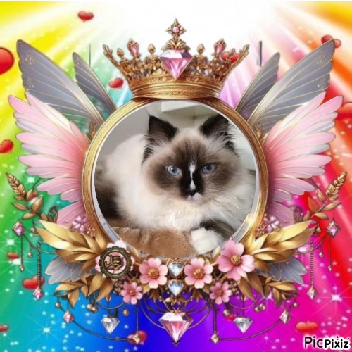 Kidlaine Kwaeola Of Karava of the Ada family