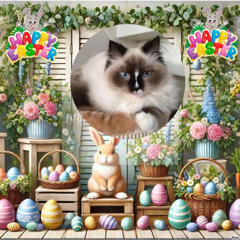 Kidlaine Kwaeola Of Karava of the Ada family