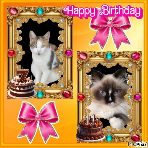 Kidlaine Kwaeola Of Karava of the Ada family