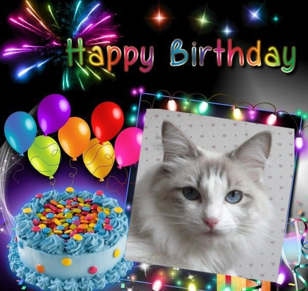 Kiss Of A Rose of the Ada family