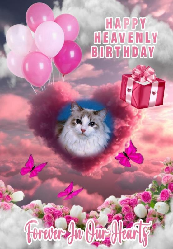 Kiss Of A Rose of the Ada family