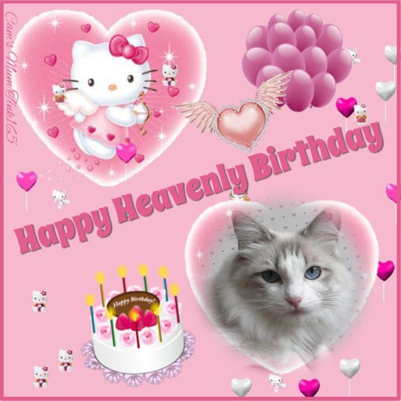 Kiss Of A Rose of the Ada family