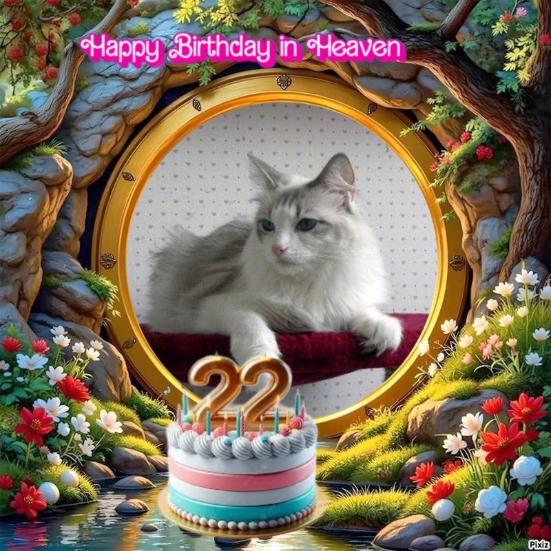 Kiss Of A Rose of the Ada family