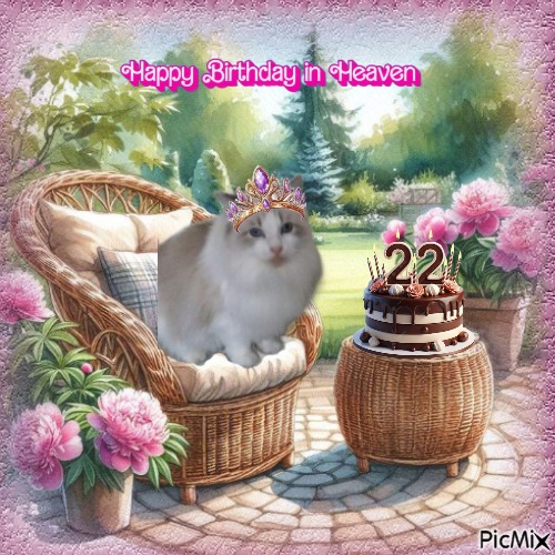 Kiss Of A Rose of the Ada family