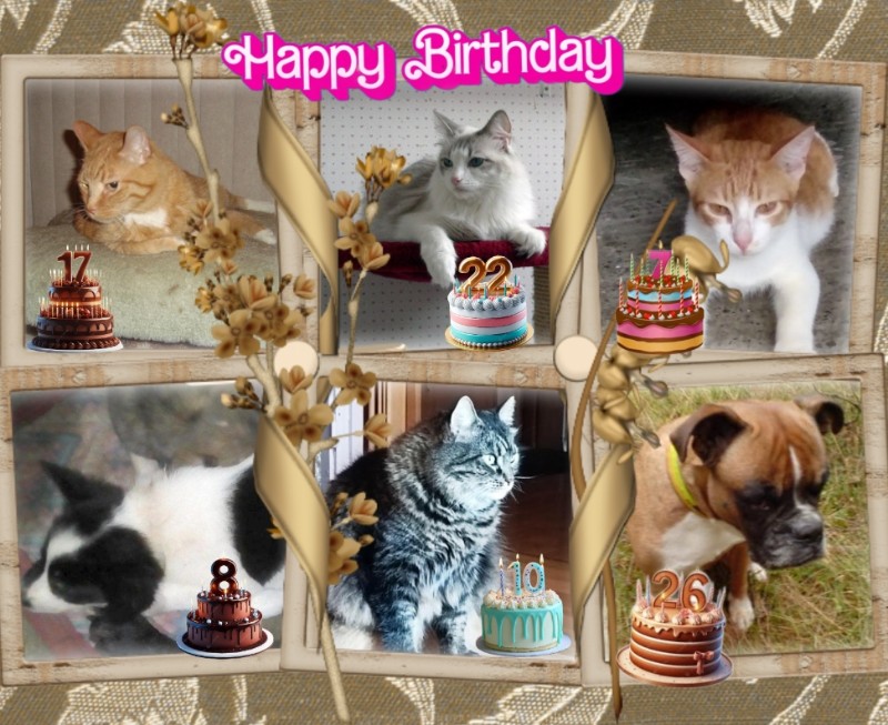 Ada uploaded   7  day/s  ago