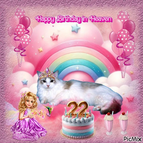 Kiss Of A Rose of the Ada family