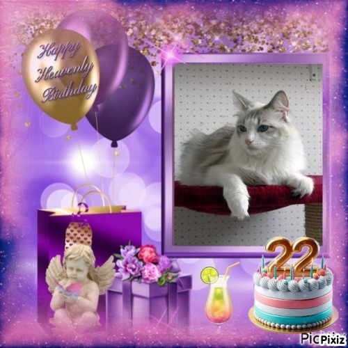 Kiss Of A Rose of the Ada family