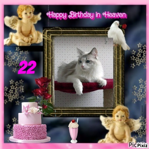 Kiss Of A Rose of the Ada family