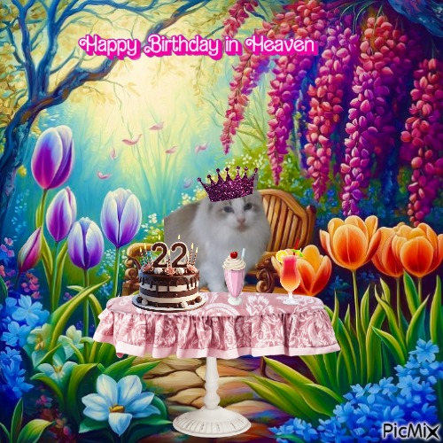 Ada uploaded   7  day/s  ago