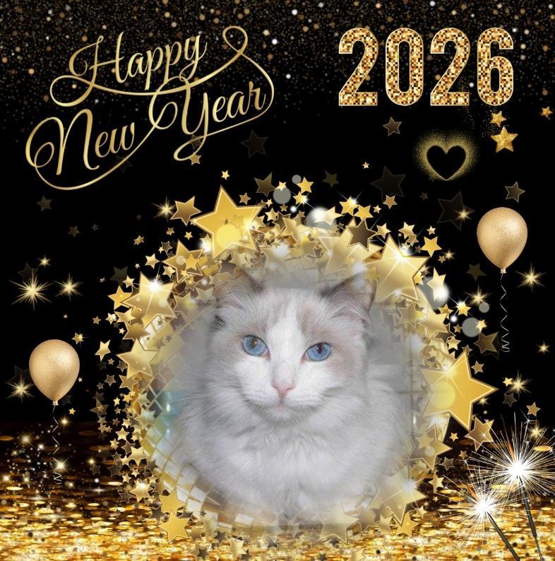 Kiss Of A Rose of the Ada family