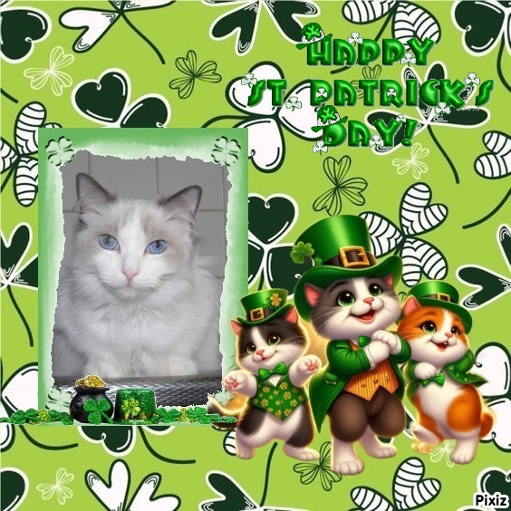 Ada uploaded   32  day/s  ago