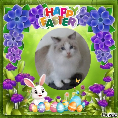 Kiss Of A Rose of the Ada family