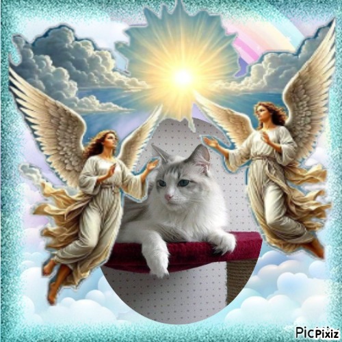 Kiss Of A Rose of the Ada family