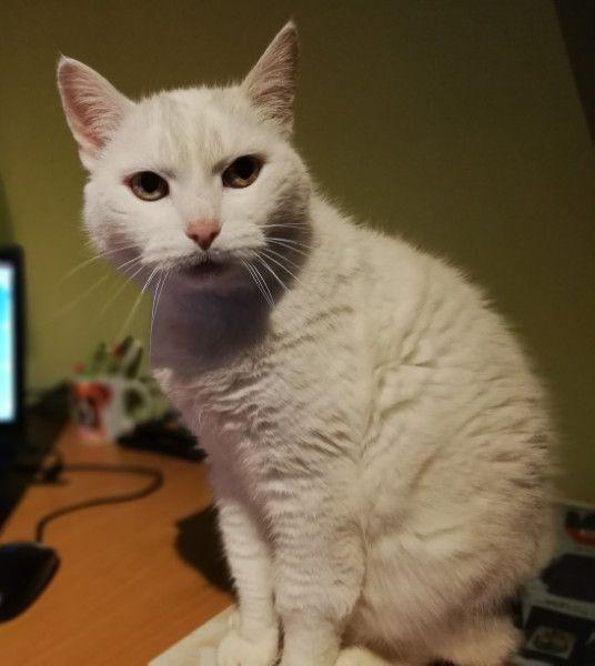 Ada uploaded   62  day/s  ago