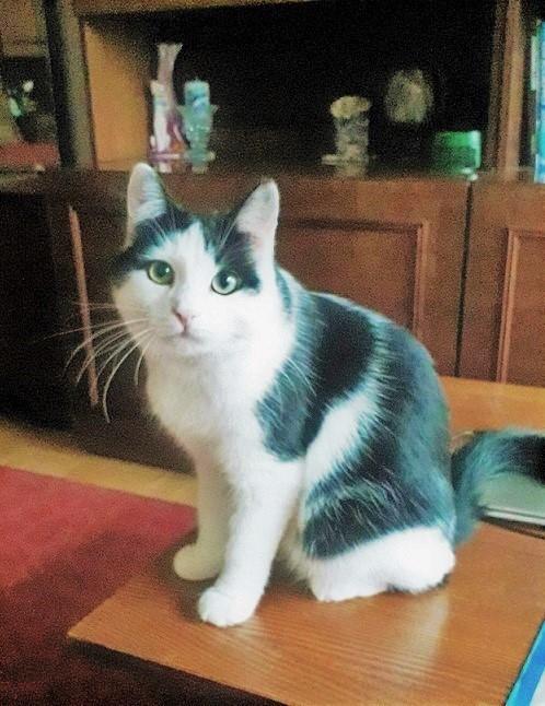 Ada uploaded   62  day/s  ago