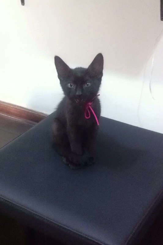 Ada uploaded   62  day/s  ago