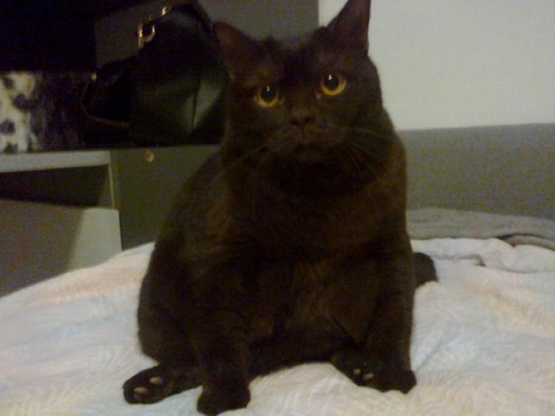 Ada uploaded   62  day/s  ago