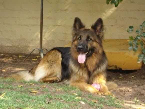 Ada uploaded   6 year/s ago