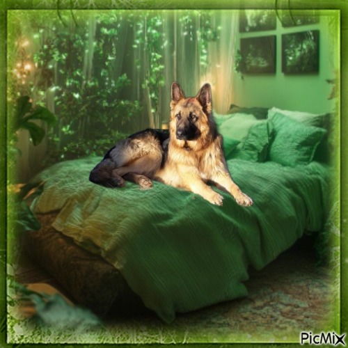 Aquitane Avaie of the Ada family