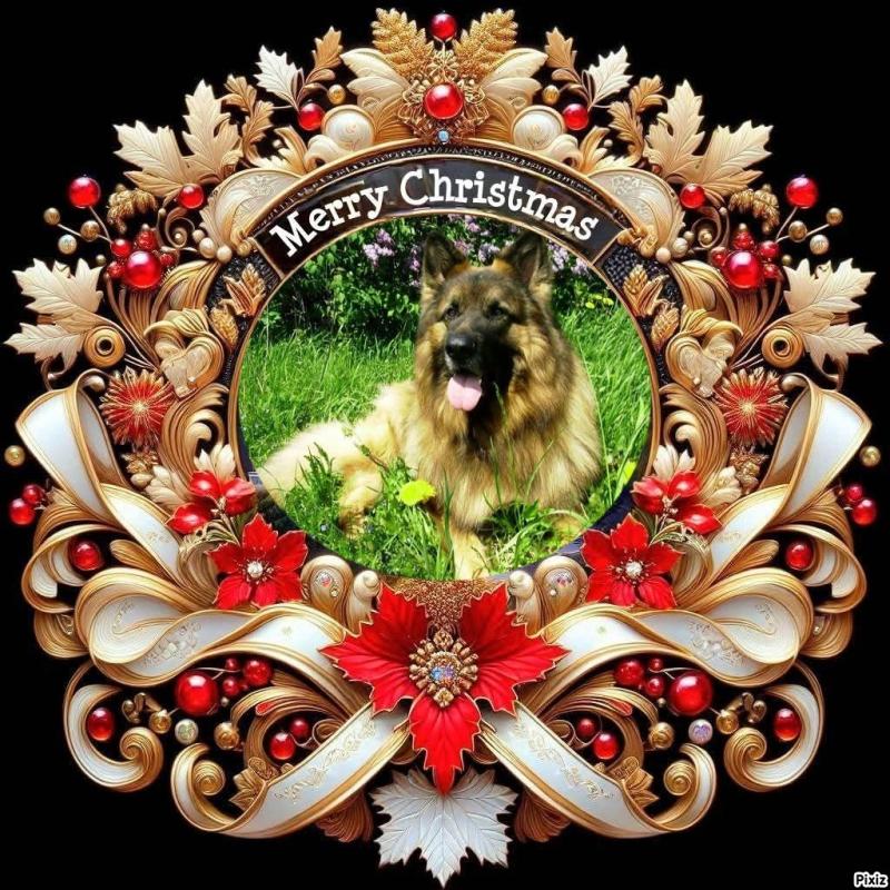 Aquitane Avaie of the Ada family