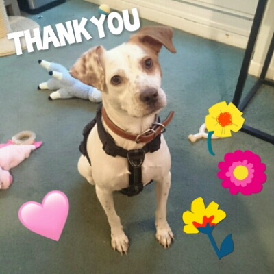 Aquitane Avaie of the Ada family