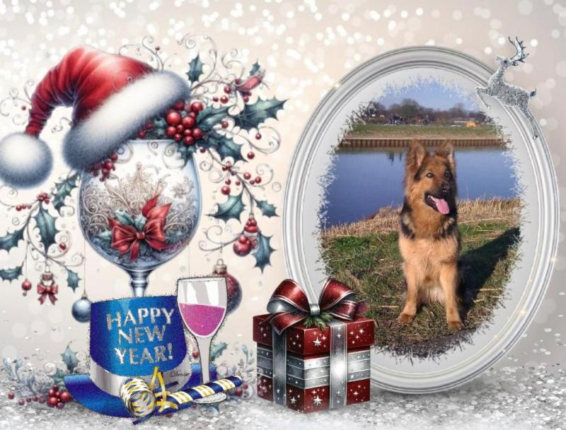 Aquitane Avaie of the Ada family