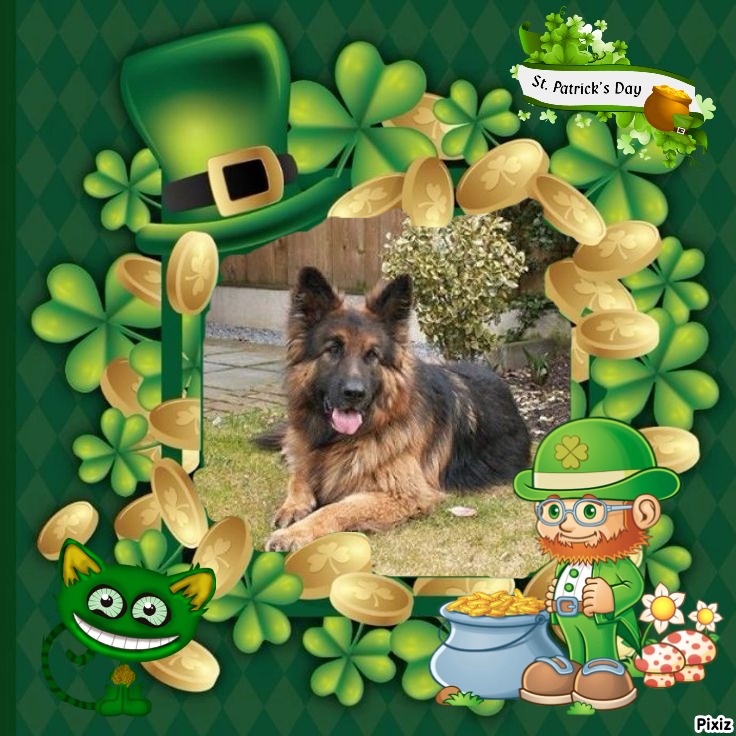 Aquitane Avaie of the Ada family