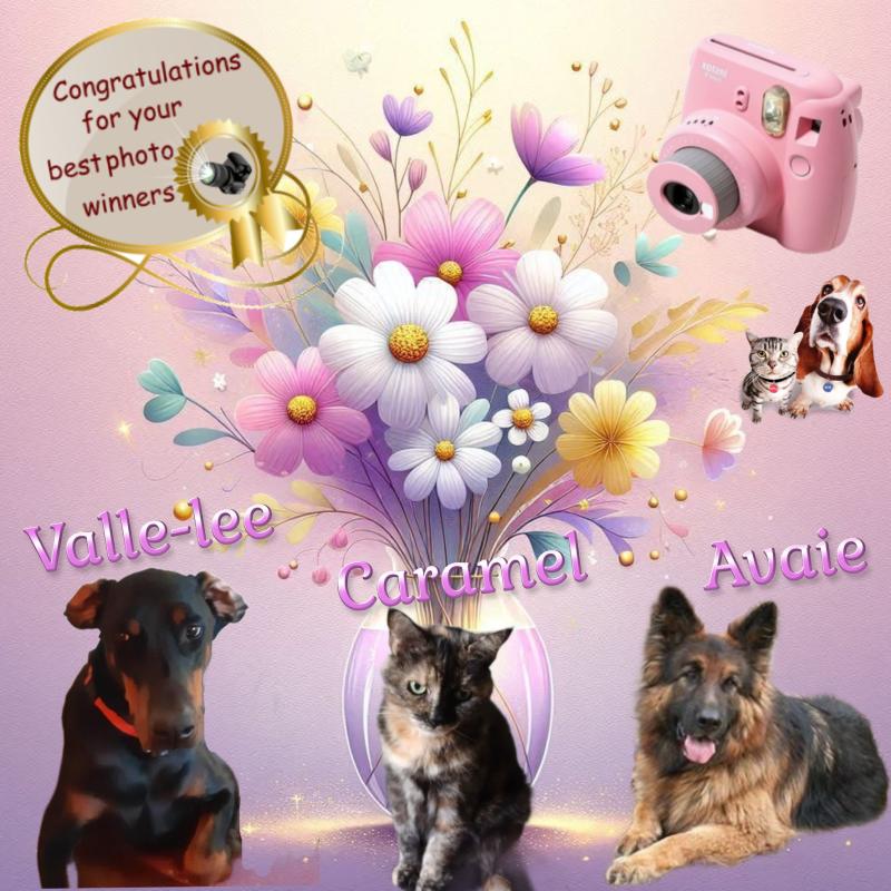 Aquitane Avaie of the Ada family