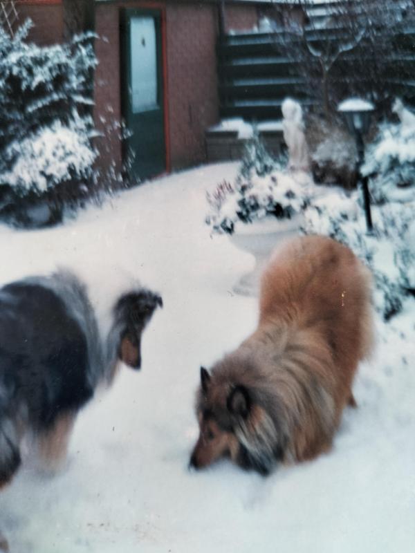 Ada uploaded   305  day/s  ago