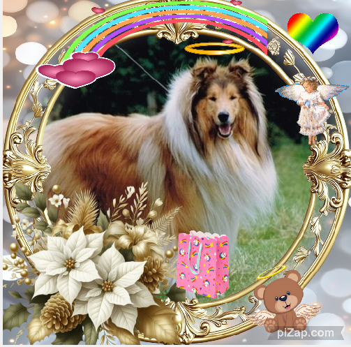 Beauty of the Ada family