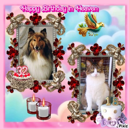 Beauty of the Ada family