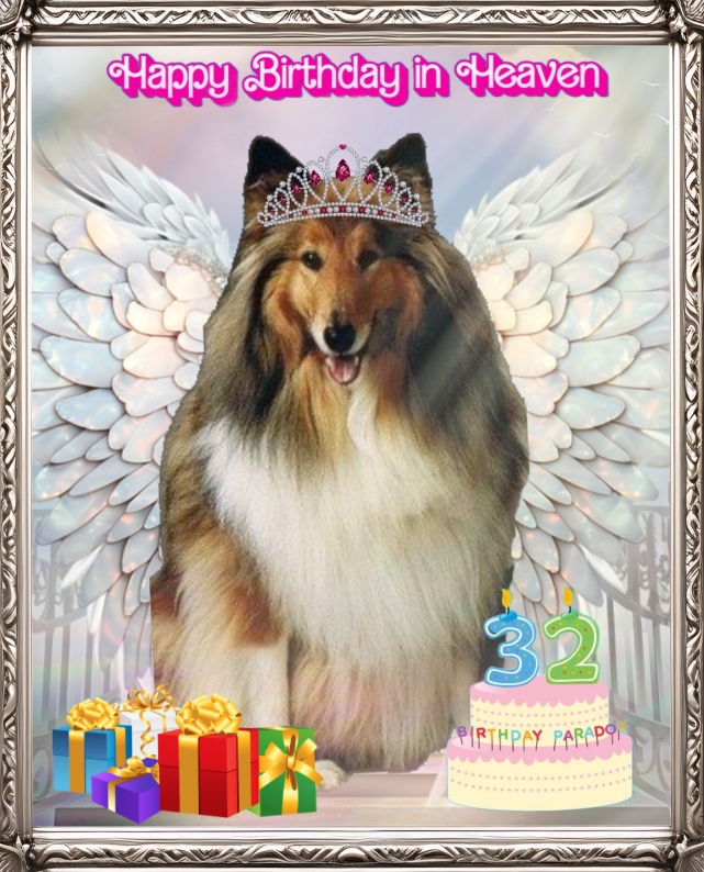 Ada uploaded   81  day/s  ago