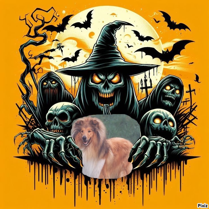 Beauty of the Ada family