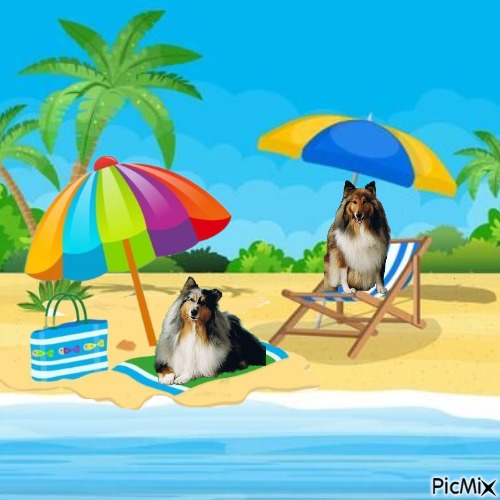 Ada uploaded   280  day/s  ago