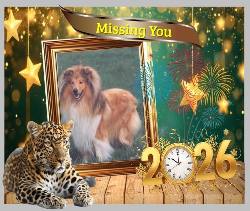 Beauty of the Ada family