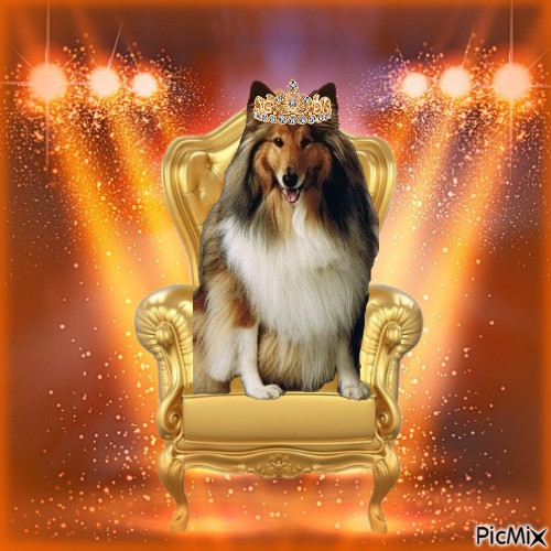 Beauty of the Ada family