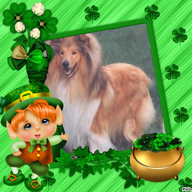 Beauty of the Ada family