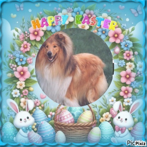 Beauty of the Ada family