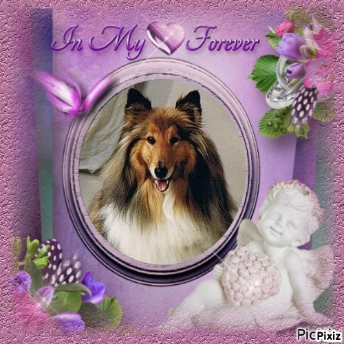 Beauty of the Ada family