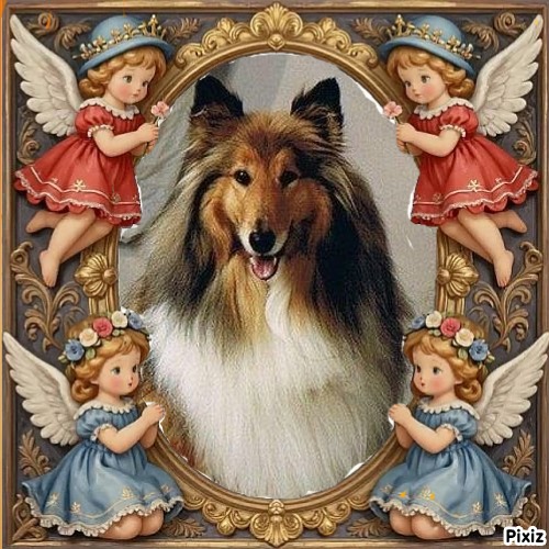 Beauty of the Ada family
