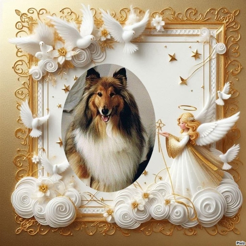 Beauty of the Ada family