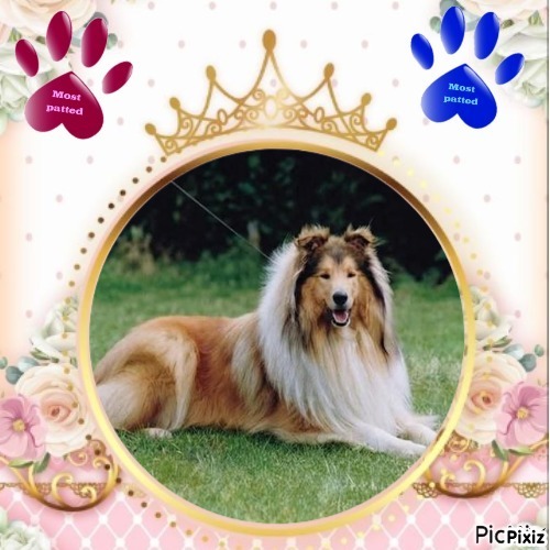 Beauty of the Ada family