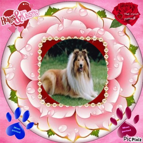 Beauty of the Ada family