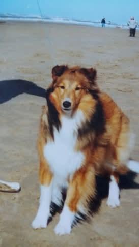 Ada uploaded   267  day/s  ago