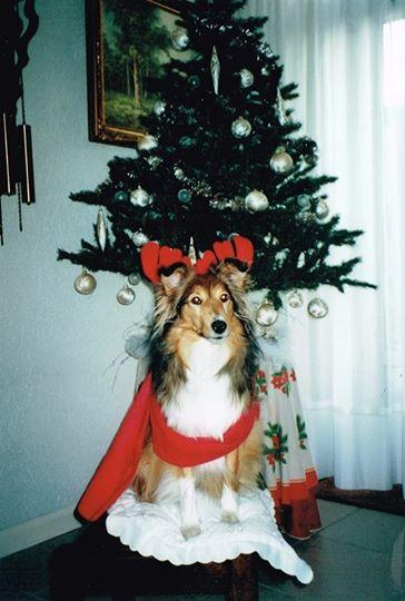 Bella of the Ada family