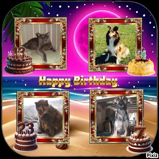 Ada uploaded   269  day/s  ago